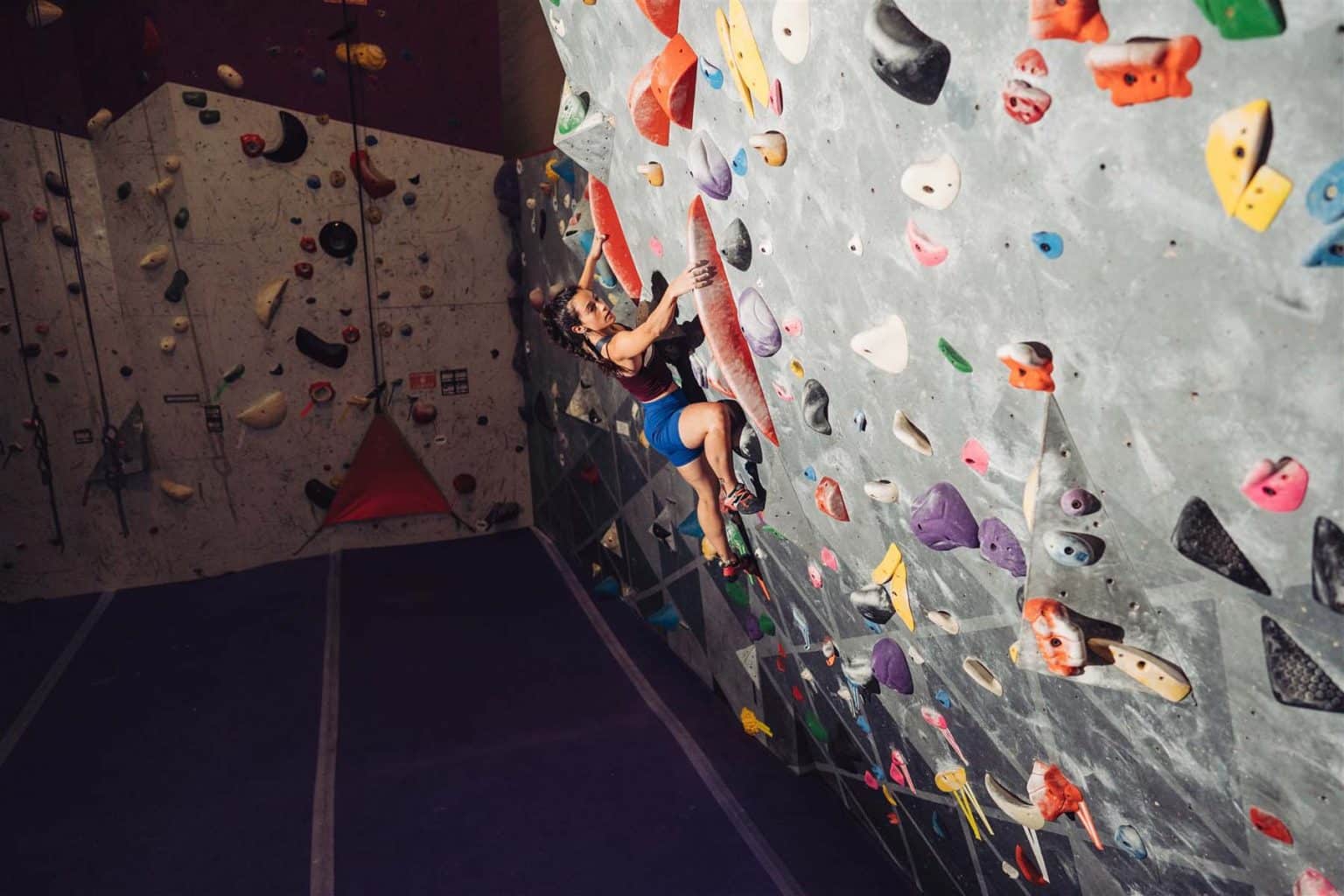 Cultivate Climbing Asheville's Best Rock Climbing Gym
