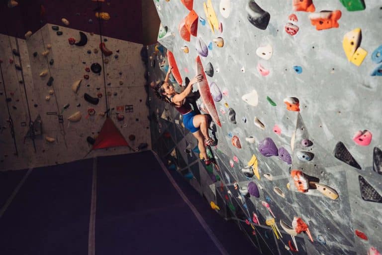 Cultivate Climbing Asheville's Best Rock Climbing Gym
